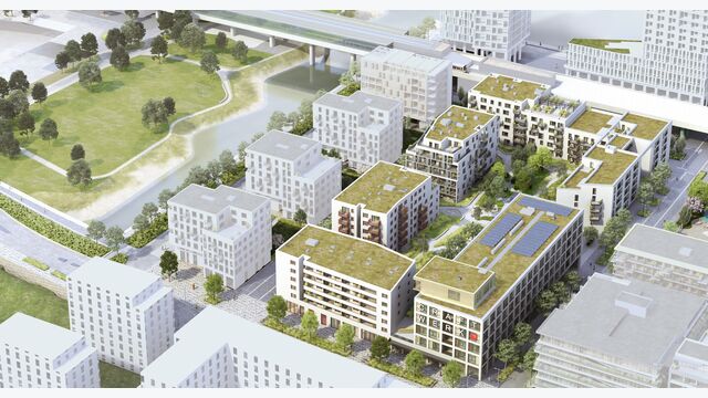Rendering des Projekts