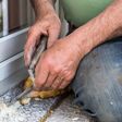 hände, arbeiterhände, arbeit, arbeiter, handwerker, arbeiterhaende, detail, dreck, verletzung, schmutzige, spachtel, landarbeiter, bauarbeiter, makro, nahaufnahme, mann, alter, älterer, mensch, hilfsarbeiter, kraft, maloche, schmutz, abdichtung, pu schaum, schaum, pu, polyurethane, montageschaum, entfernen, sanierung, dichtung, isolierung, polyurethan, fenster, türe, reperatur, granit, do-it-yourself, falten, wunden, schrammen, schwielen, schmutzig, fugen, spachteln, handwerk