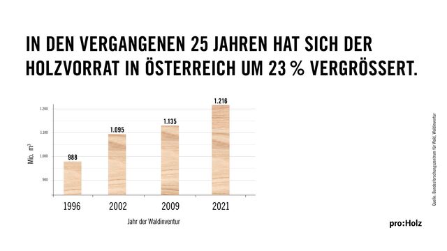 Grafik Entwicklung Holzvorrat in AT