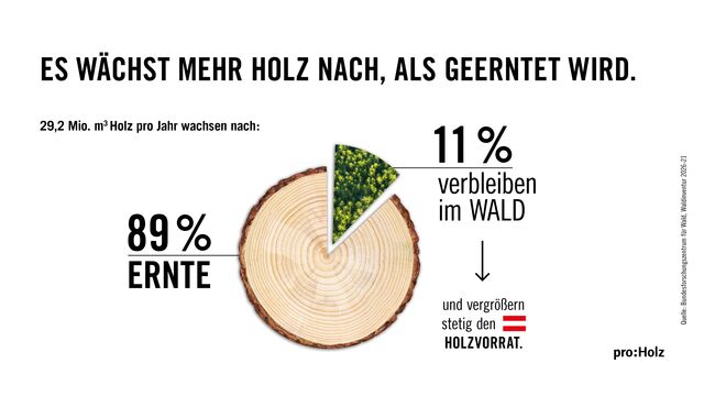 Grafik Zuwachs Holz in AT