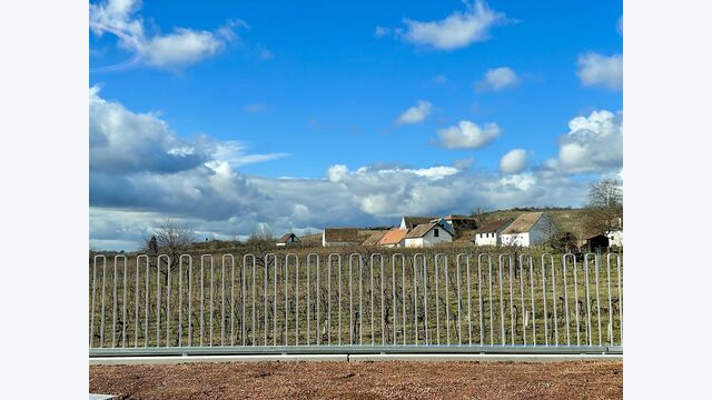 Weingut Geländer