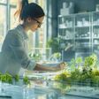 Focused female architect works on a sustainable urban planning project, arranging miniature trees and buildings in a well-lit office surrounded by plants.