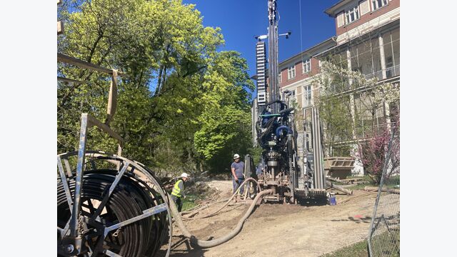 Porr Otto Wagner Areal Baumbestand