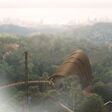 Top Station Penang Hill Cable Car