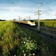 Auf der belgischen HSL1 sind Geschwindigkeiten von bis zu 300 km/h möglich. Die 1997 eröffnete Verbindung Richtung französische Grenze wird seit 2024 abschnittsweise grundlegend modernisiert.