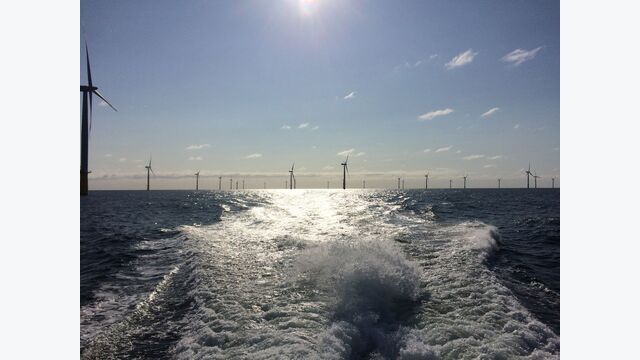 PALFINGER ist seit mehr als zwei Jahrzehnten im Windenergiesektor aktiv. Nach Unternehmensangaben unterstützen seine Hebe- und Handlinglösungen inzwischen Windparks mit zusammen mehr als 53 Gigawatt Leistung.