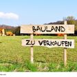 Bauland