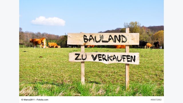 Bauland