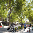 Visualisierung Klimaboulevard